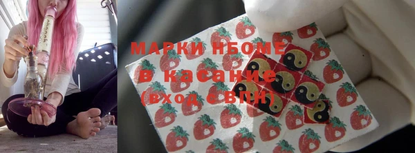 стафф Арсеньев