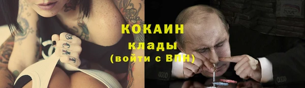 стафф Арсеньев