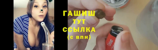 стафф Арсеньев