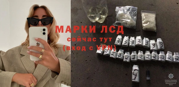 стафф Арсеньев