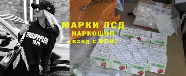 стафф Арсеньев