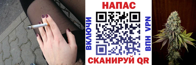 Шишки марихуана сатива  Соль-Илецк 